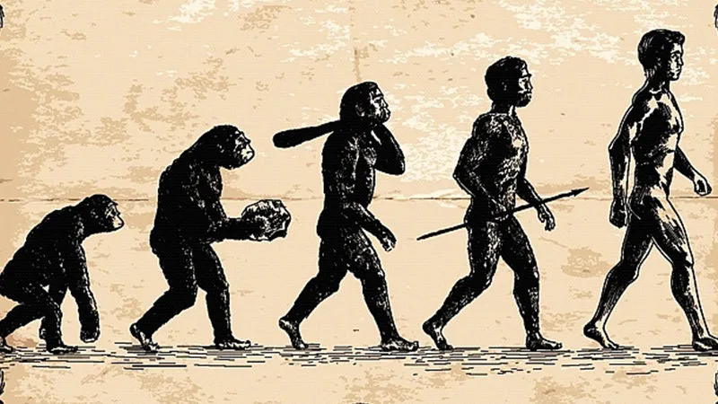 La théorie de l’évolution de la question du code génétique