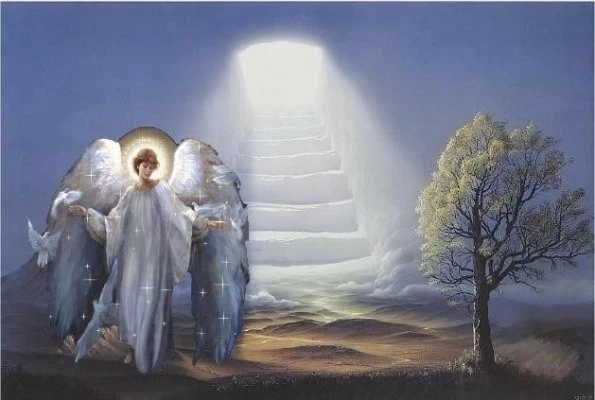 Le chemin du bonheur – Abbé Rioult