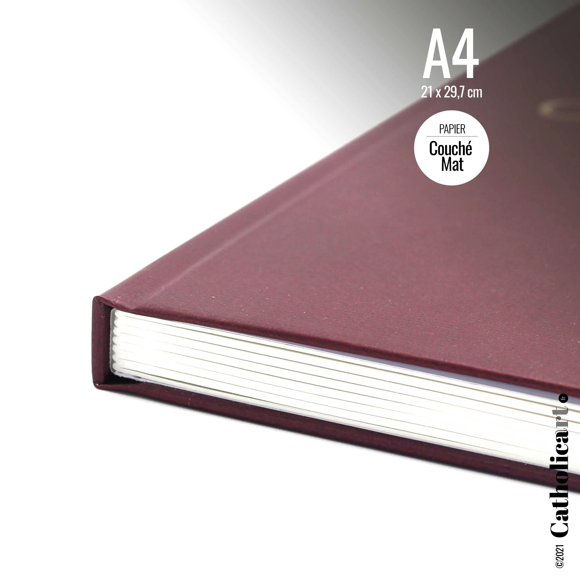 Le Catéchisme en Images Édition Prestige (Livre broché 140 pages A4 de 1893) – Image 2
