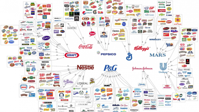 Le monopole économique actuel