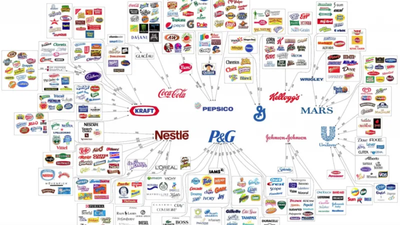 Le monopole économique actuel