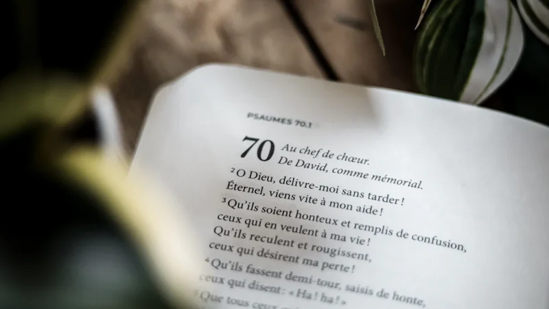 Les plus beaux commentaires des Psaumes – Librairie Damase