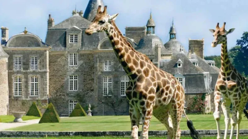 Chronique patrimoine : Le château de La Bourbansais : un ZOO dans un CHÂTEAU jamais vendu depuis sa construction