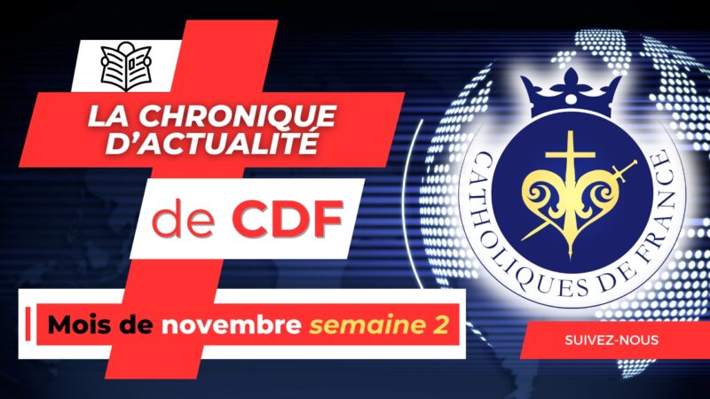 Chronique d’actualité de CDF : deuxième semaine de novembre