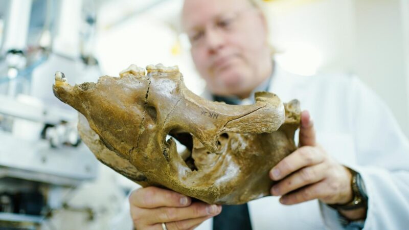 La Datation des ères géologiques remise en question (1)