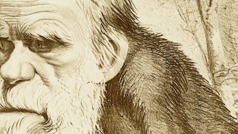 Les erreurs de la théorie de l’Évolution : une critique rationnelle