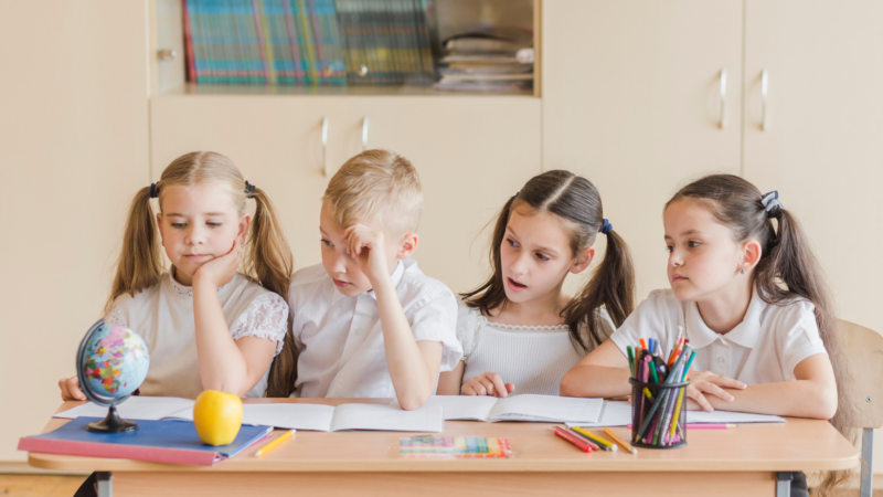 La baisse du niveau scolaire en France