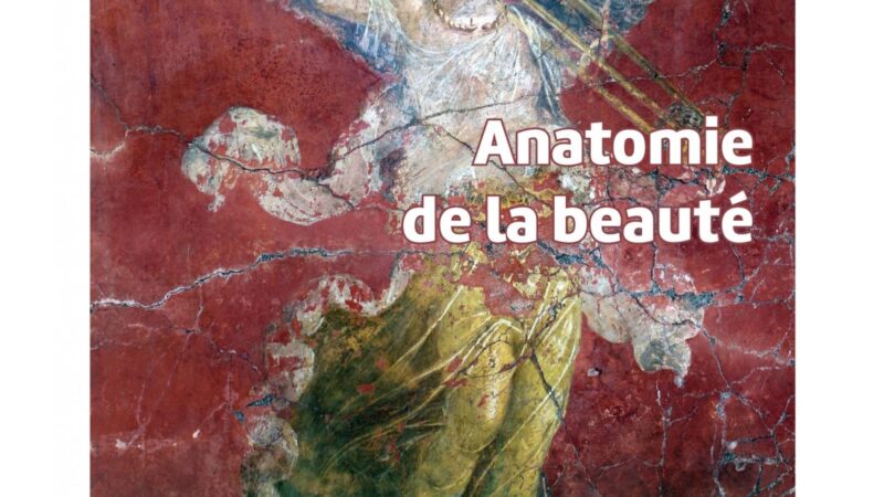 Anatomie de la beauté
