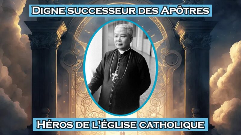 La Véritable histoire de Mgr Pierre Martin Ngô Đình Thục
