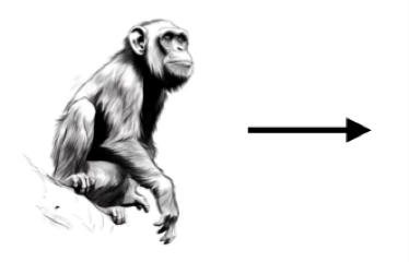 Fig. 4 : le vivant se meut par lui-même, son corps étant mû par son âme